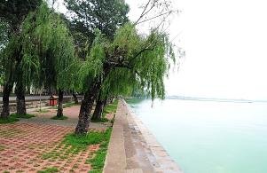哪些是牛皮鲜断定好的方法
